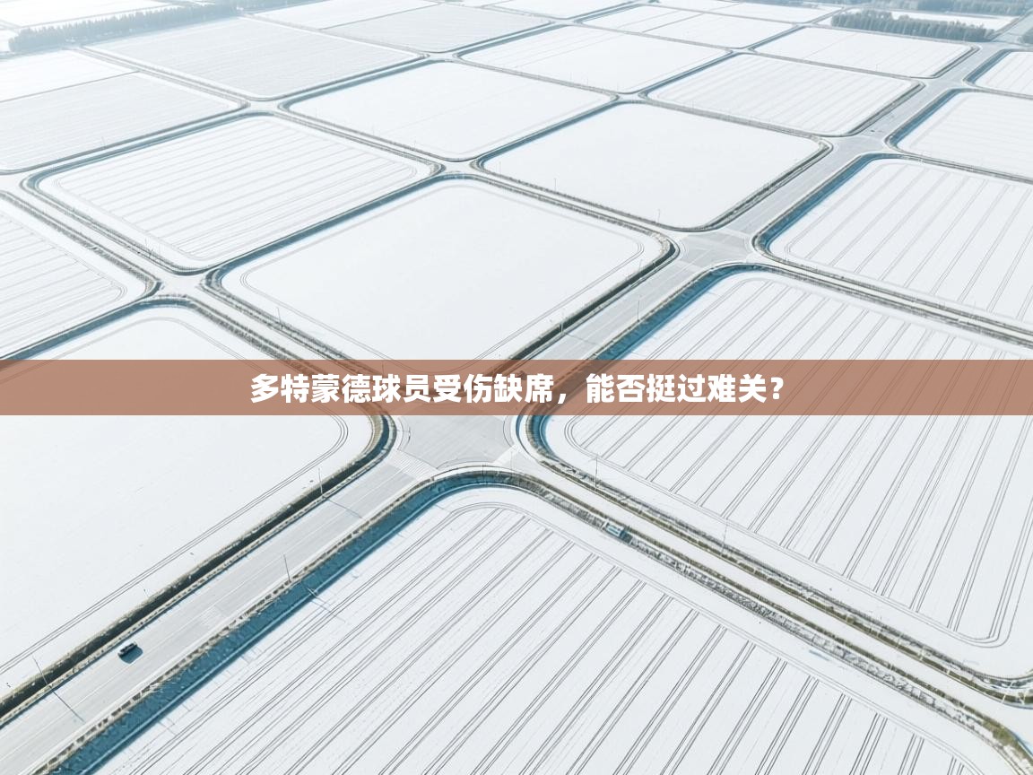 多特蒙德球员受伤缺席，能否挺过难关？  第1张