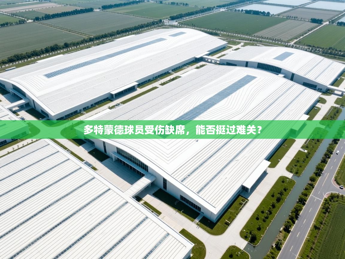 多特蒙德球员受伤缺席，能否挺过难关？  第2张