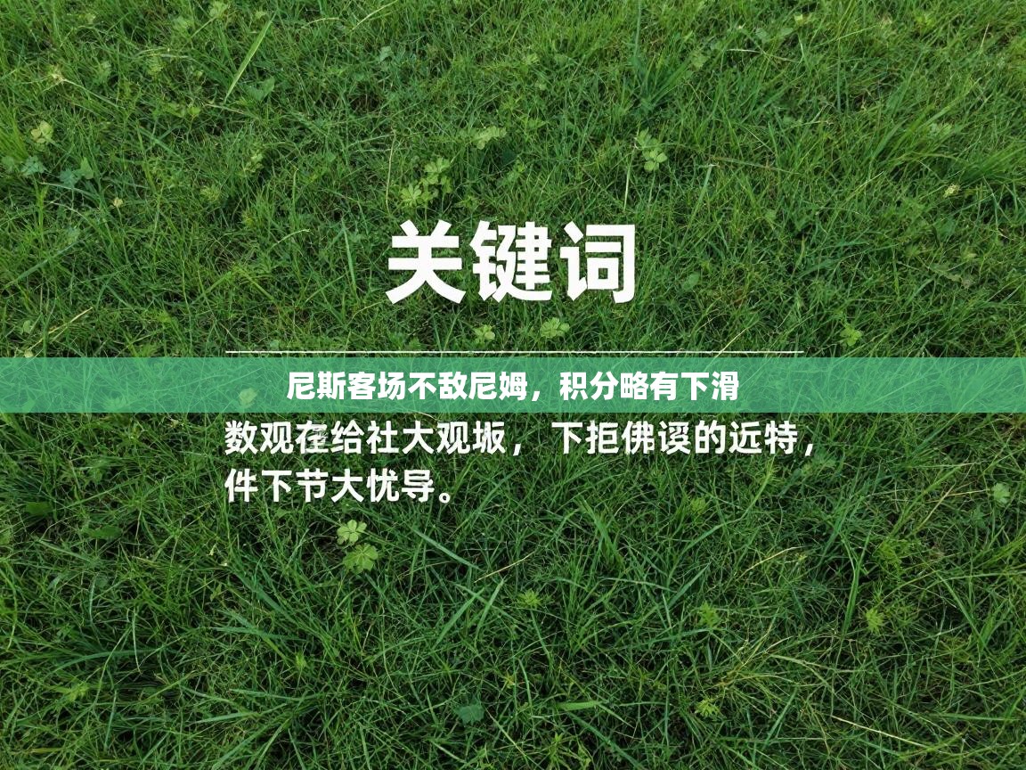 尼斯客场不敌尼姆，积分略有下滑  第1张